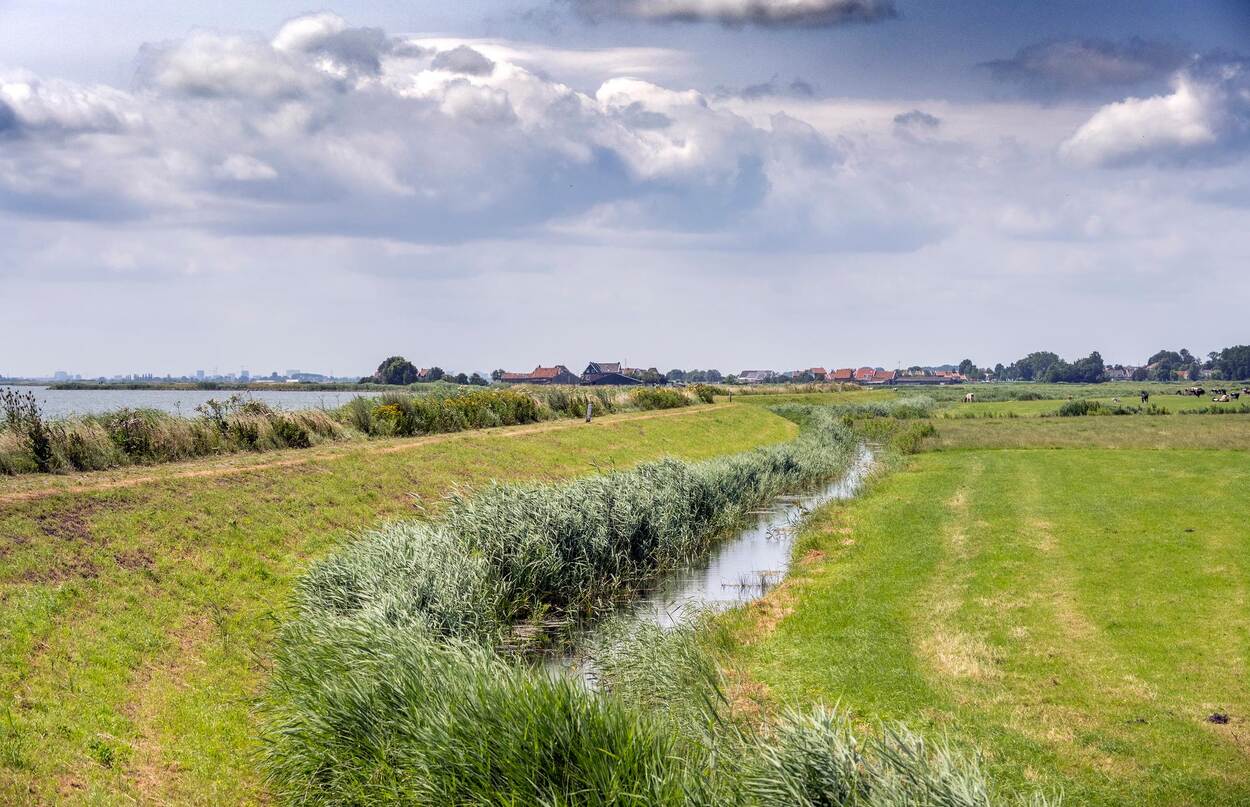 Een met gras begroeide dijk met een sloot ernaast.